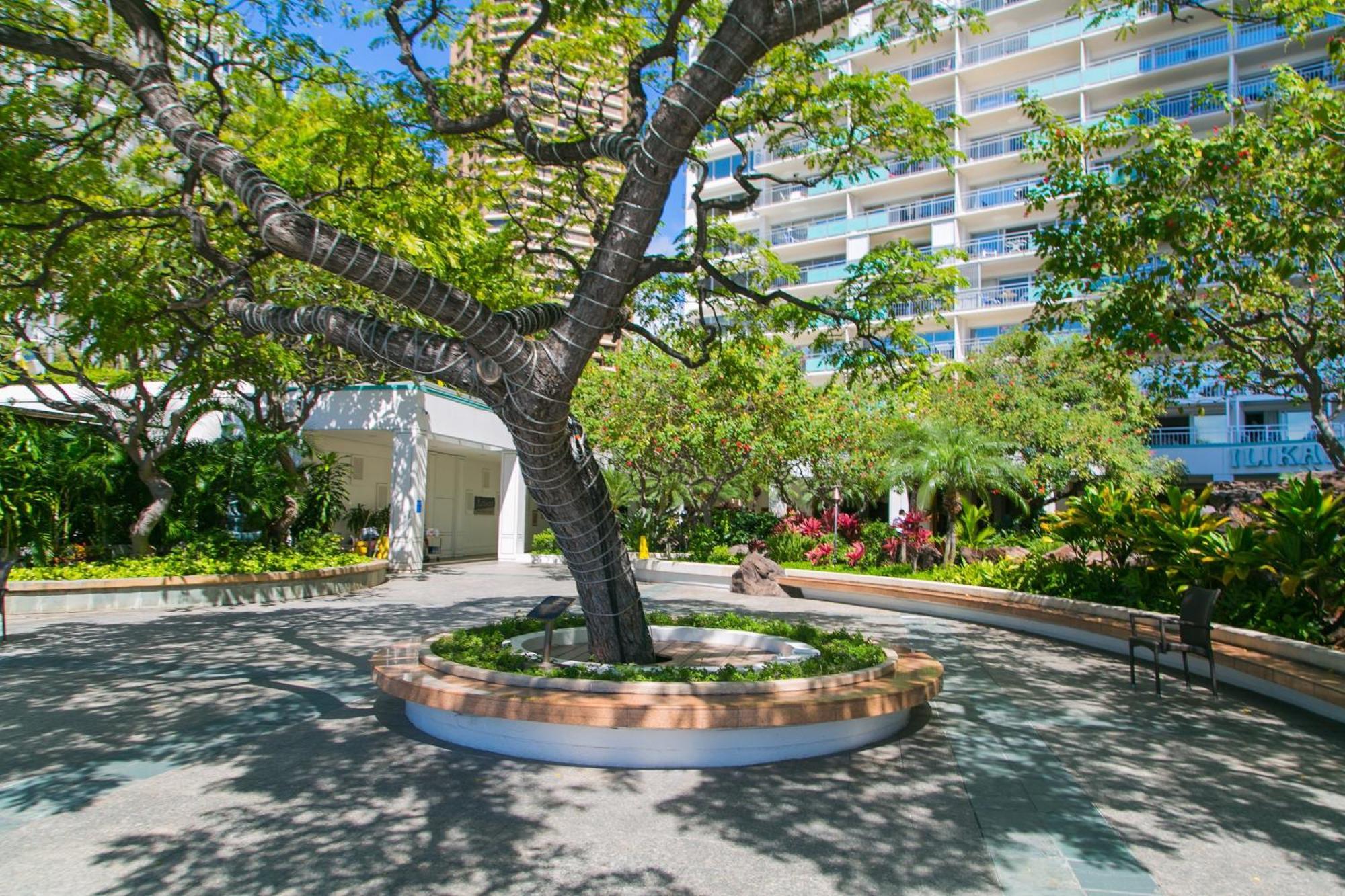 Ilikai Tower 936 Lagoon View 1Br Honolulu Exterior photo